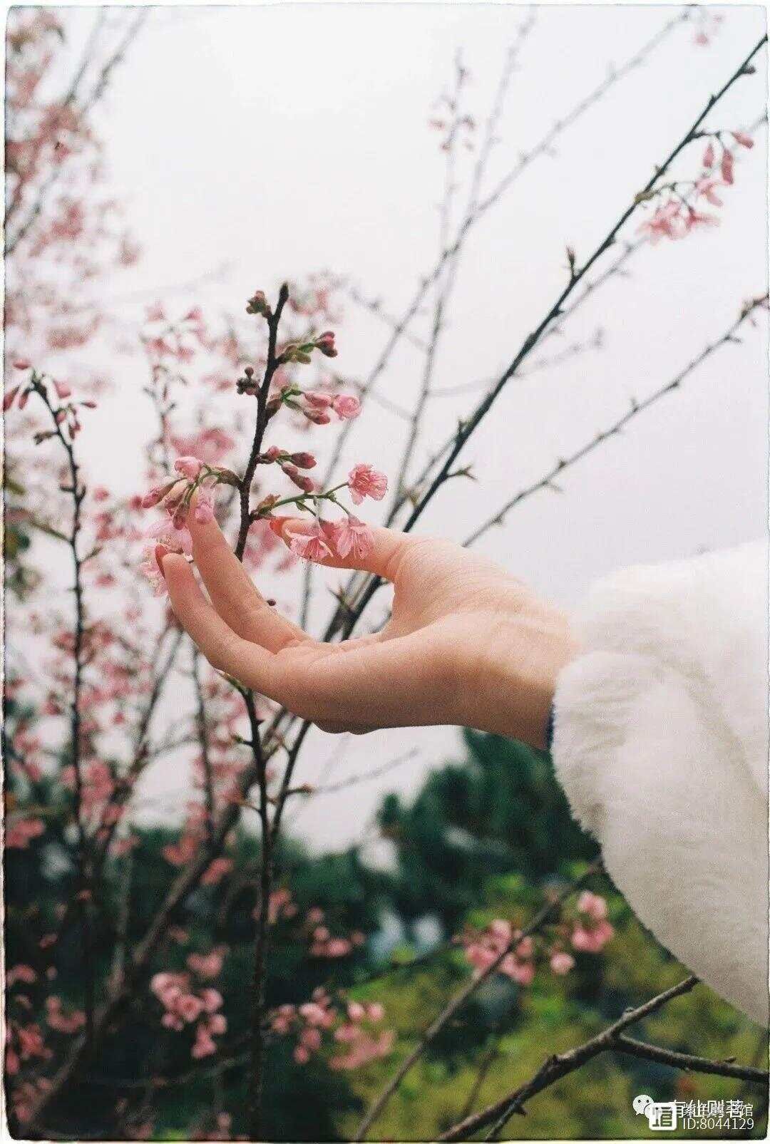 手少阴心经经别__手少阴心经的络脉是