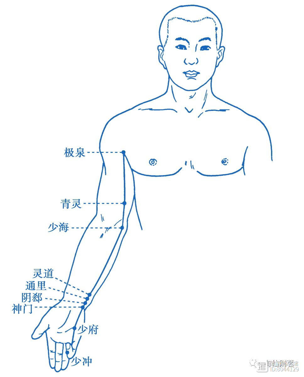 _手少阴心经经别_手少阴心经的络脉是