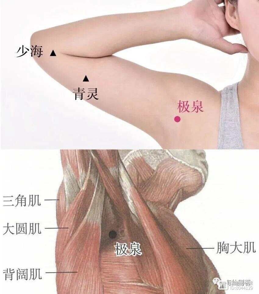 手少阴心经的络脉是__手少阴心经经别
