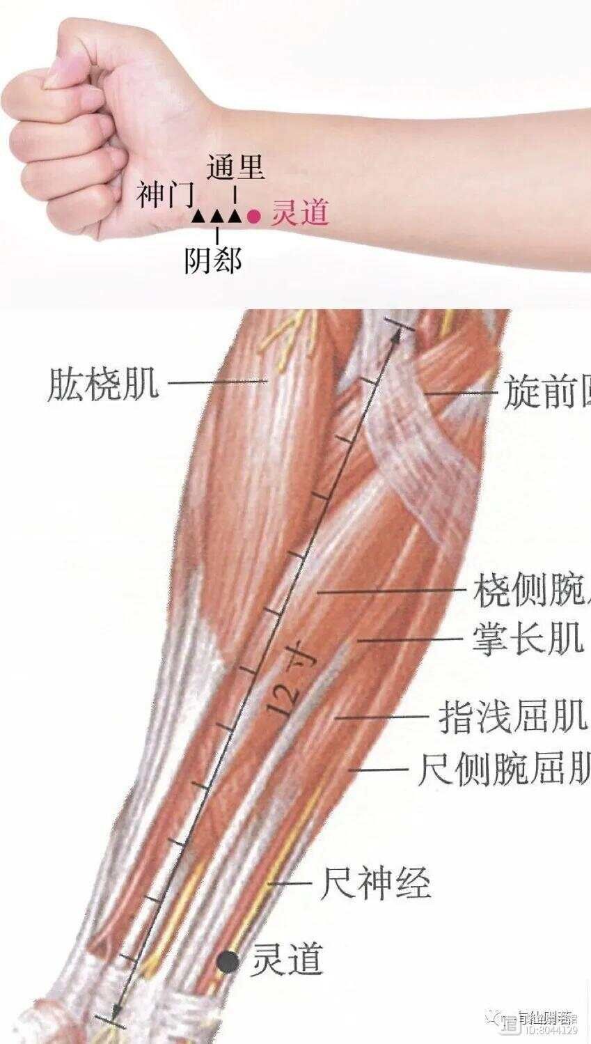 手少阴心经的络脉是_手少阴心经经别_