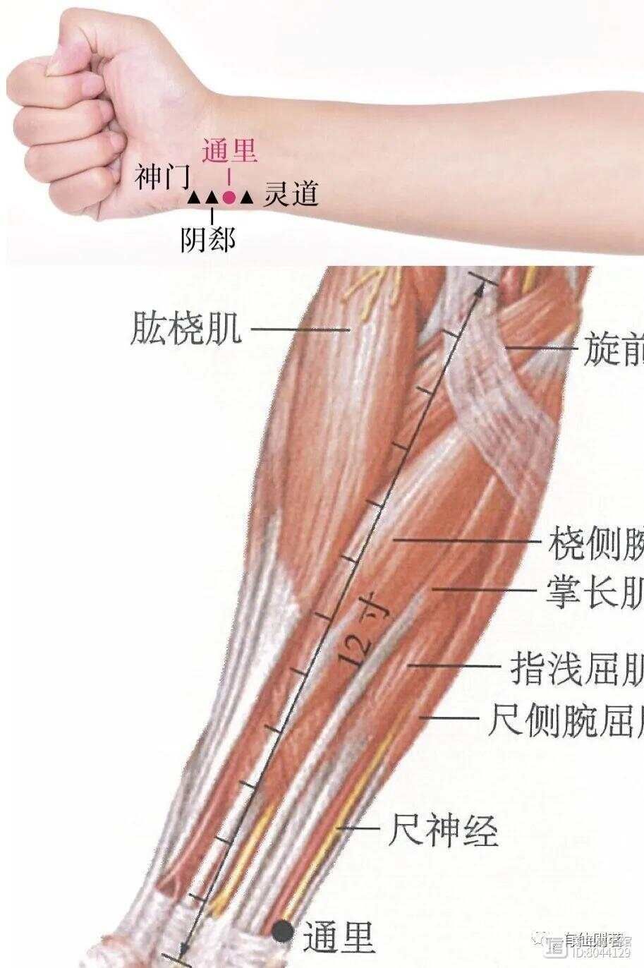 _手少阴心经的络脉是_手少阴心经经别