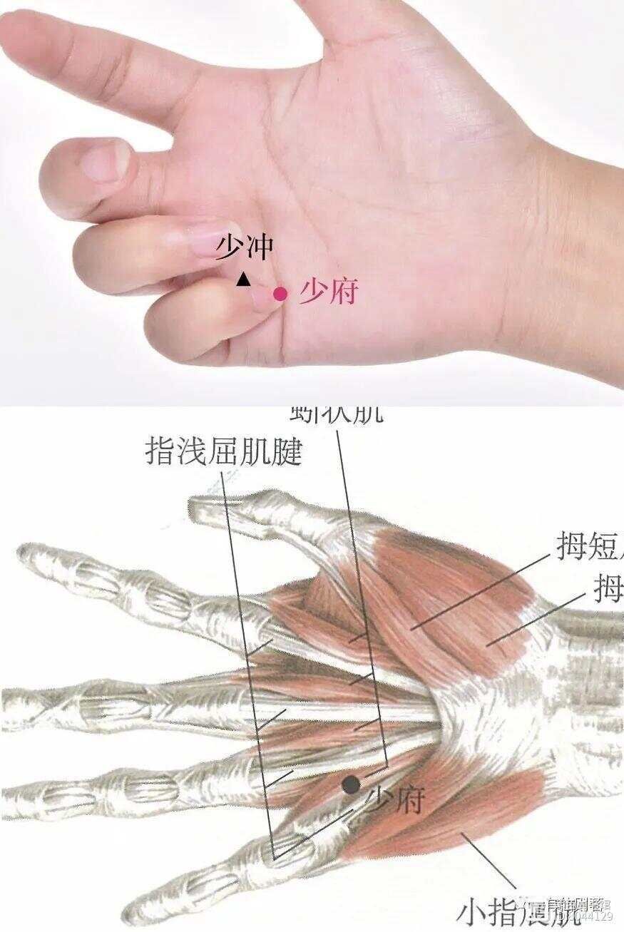 手少阴心经经别__手少阴心经的络脉是