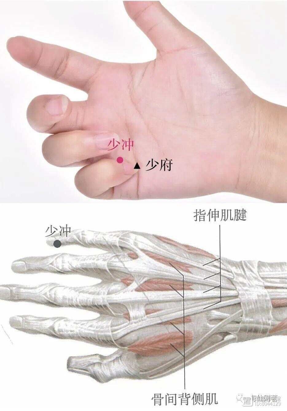 _手少阴心经经别_手少阴心经的络脉是