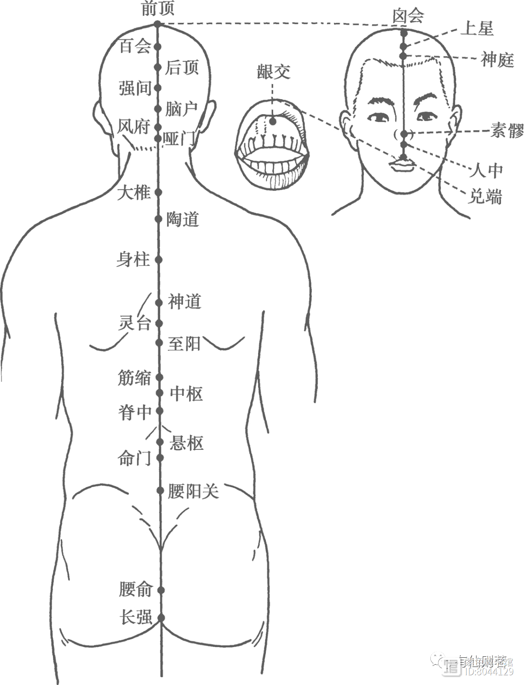 _督脉西医叫什么_督脉别络的分布