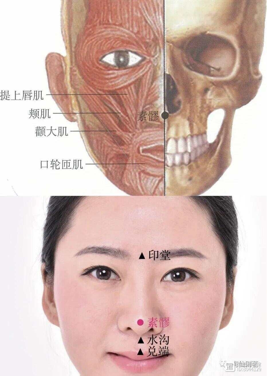 督脉别络的分布__督脉西医叫什么