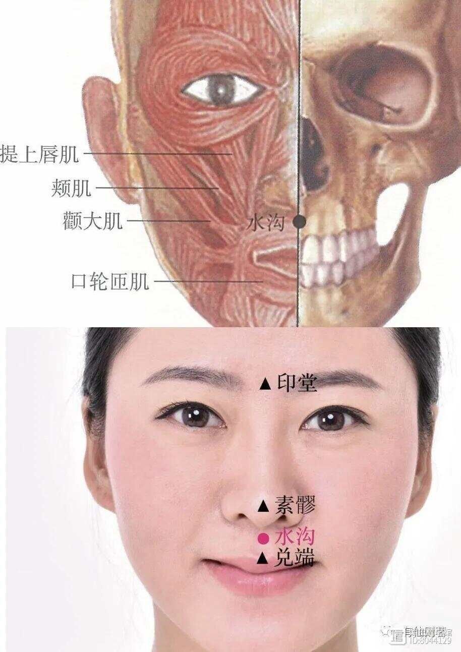 _督脉西医叫什么_督脉别络的分布