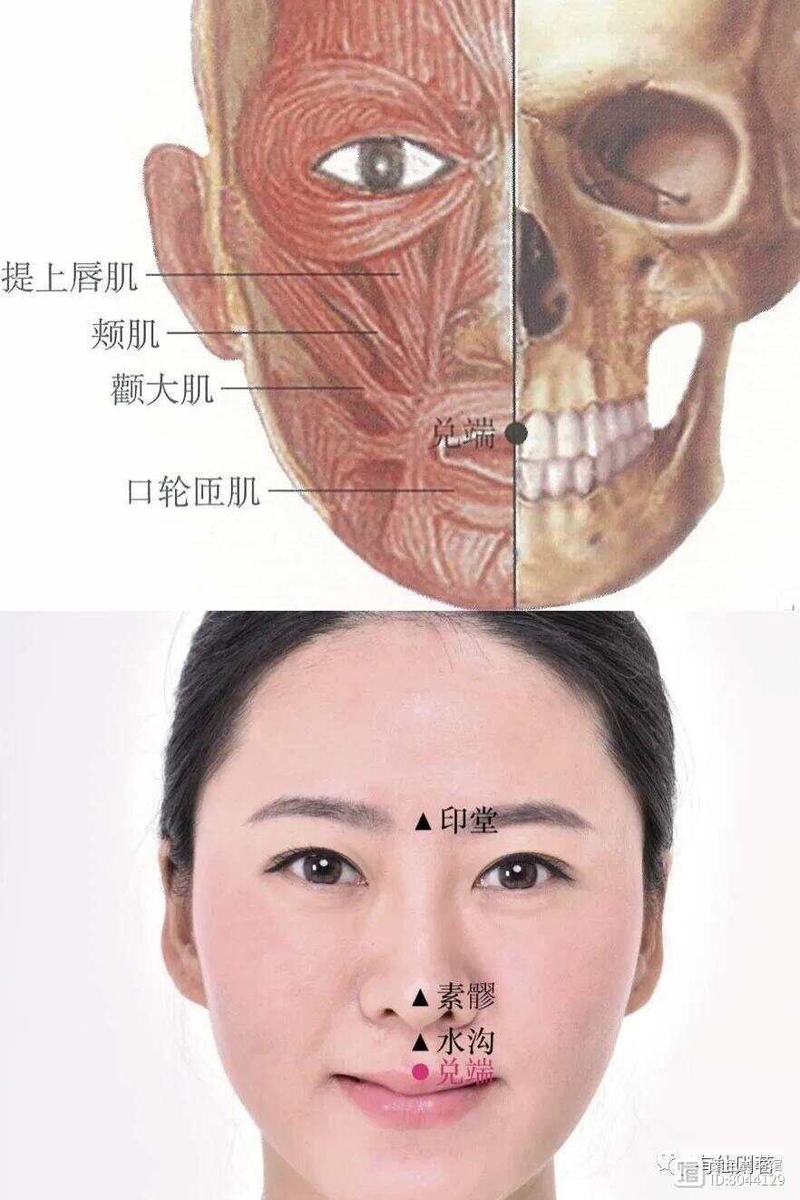 督脉别络的分布_督脉西医叫什么_