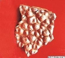 您也可以玩 从常识入手研究古陶瓷 分析铜红釉与铁红釉的区别