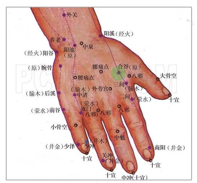 马丹阳天星十二穴