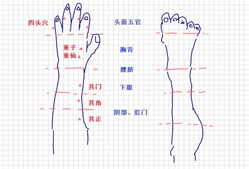 _董氏全息针法_董针全息针法