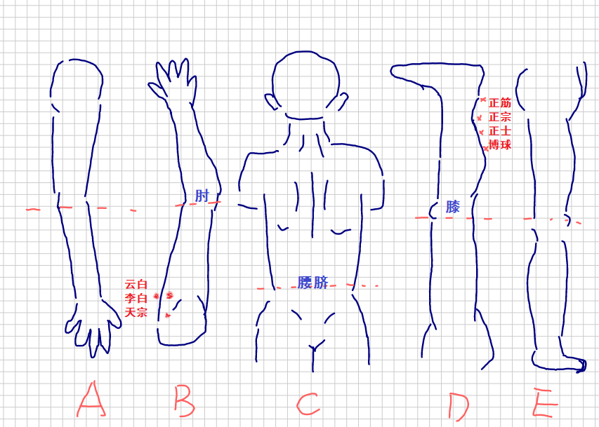 _董针全息针法_董氏全息针法