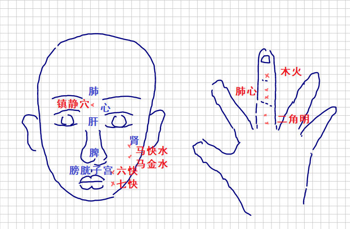 _董针全息针法_董氏全息针法