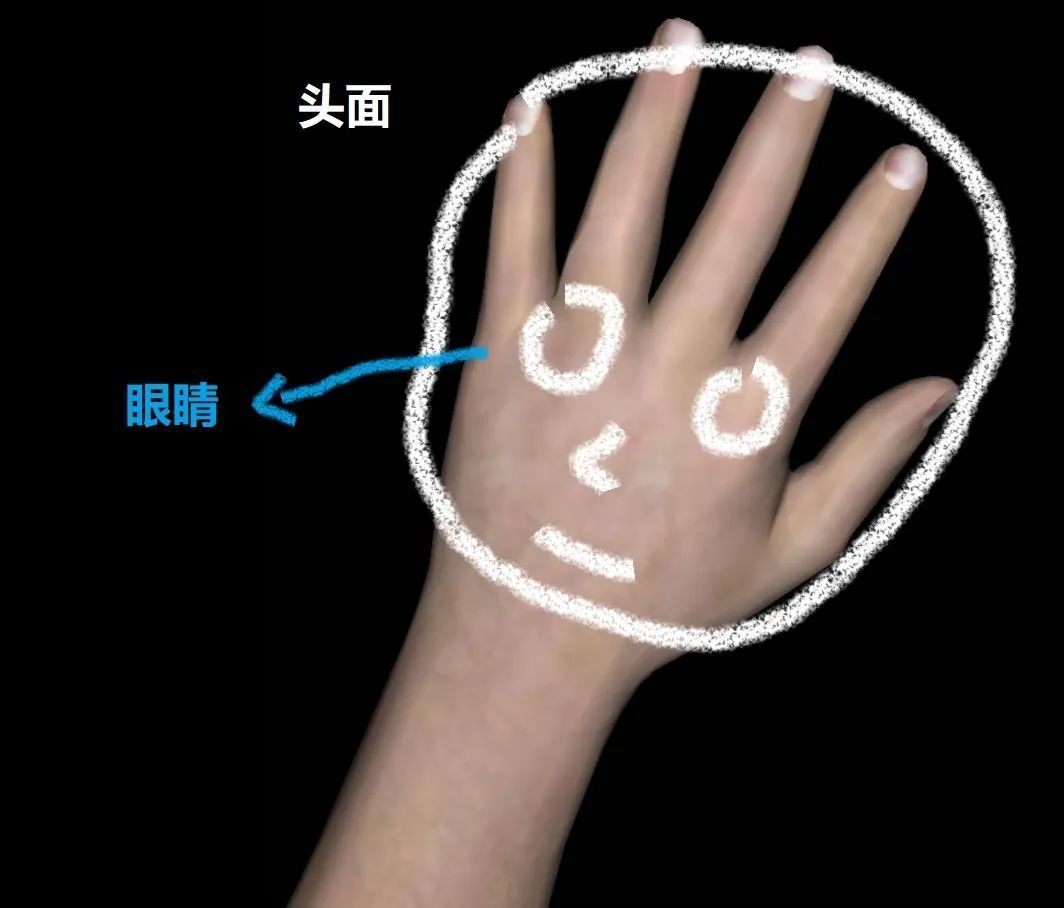 _董氏落枕_落枕董针