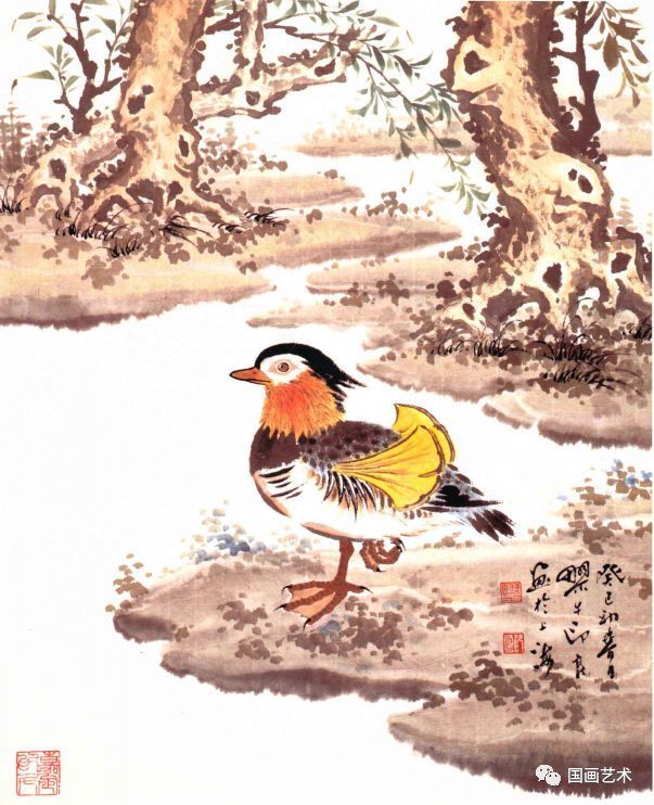 鸳鸯鸟怎么写__鸳鸯和喜鹊