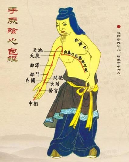 心包经与三焦经：心包经为心脏之守卫，三焦经纵横上中下三焦
