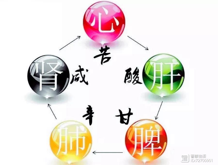 _五脏六腑五味_五脏五味养生
