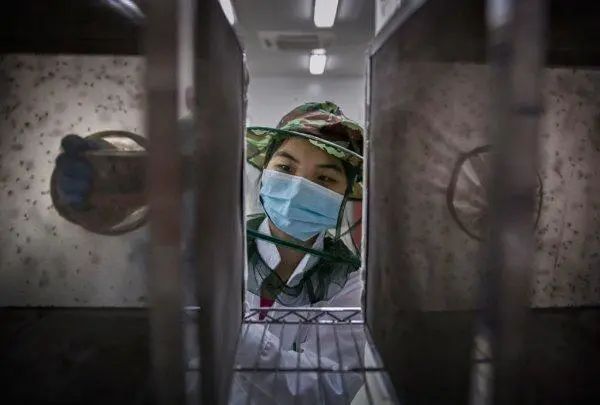 _古人怎么灭蚊子_古人夏天如何驱蚊