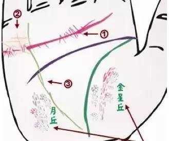 中医与身心健康是什么课程__中医身心医学