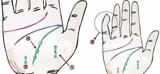 中医身心医学__中医与身心健康是什么课程