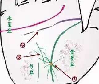 中医身心医学__中医与身心健康是什么课程