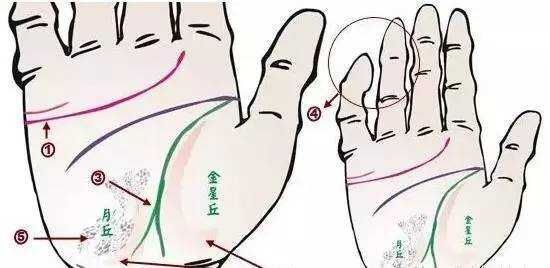 _中医与身心健康是什么课程_中医身心医学
