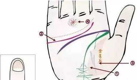 _中医身心医学_中医与身心健康是什么课程
