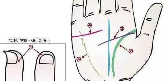 _中医身心医学_中医与身心健康是什么课程