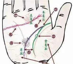 _中医与身心健康是什么课程_中医身心医学
