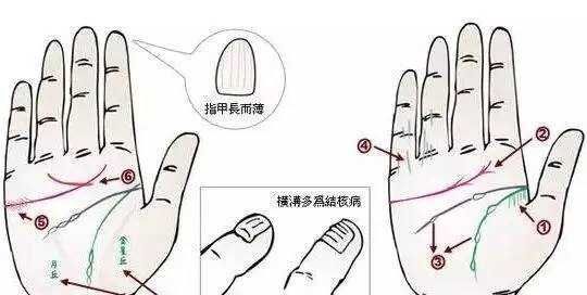 中医与身心健康是什么课程_中医身心医学_
