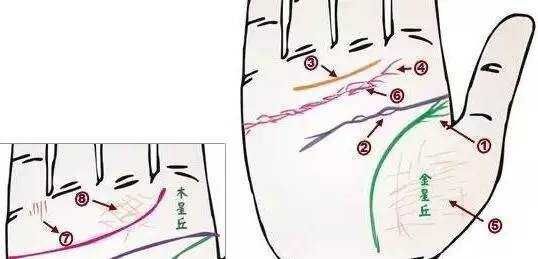 中医与身心健康是什么课程__中医身心医学