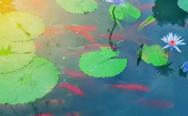 _越克越旺的八字_八字怎么看克
