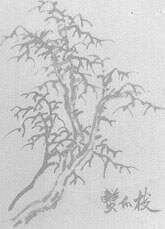 国画中的技法__技法国画基本特征