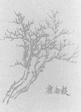国画中的技法_技法国画基本特征_