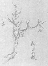 _国画中的技法_技法国画基本特征