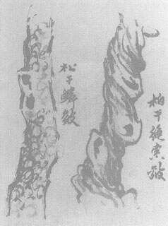 _国画中的技法_技法国画基本特征