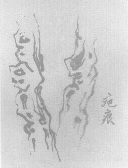 _国画中的技法_技法国画基本特征