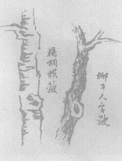 国画中的技法_技法国画基本特征_