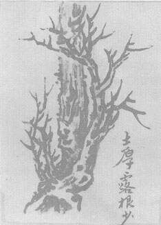 _国画中的技法_技法国画基本特征