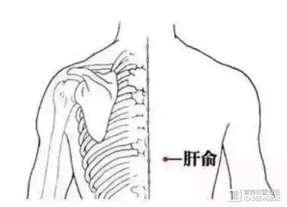 肝不好的人，多食二绿，常饮三水，做好四件事，肝会慢慢变好__肝不好的人，多食二绿，常饮三水，做好四件事，肝会慢慢变好