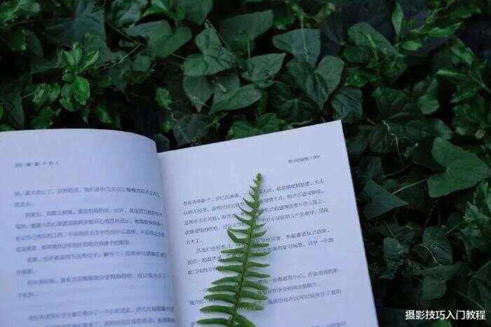 新手拍照快速入门技巧__新手必备的拍照小技巧