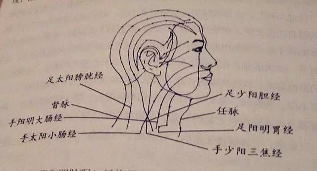 人体53个穴位功效按摩方法__人体53个穴位功效按摩方法