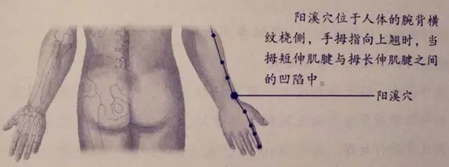_人体53个穴位功效按摩方法_人体53个穴位功效按摩方法