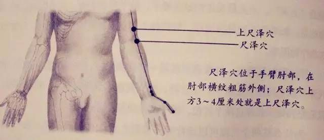 人体53个穴位功效按摩方法_人体53个穴位功效按摩方法_