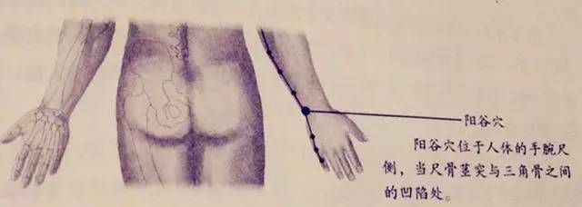 人体53个穴位功效按摩方法__人体53个穴位功效按摩方法