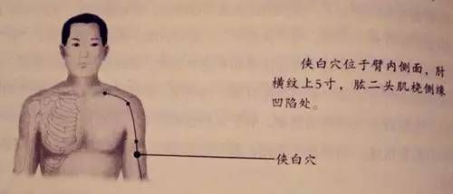 人体53个穴位功效按摩方法__人体53个穴位功效按摩方法