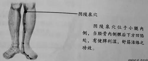 _人体53个穴位功效按摩方法_人体53个穴位功效按摩方法