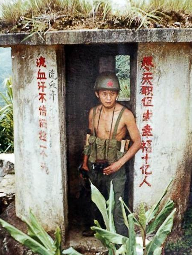 文章图片17