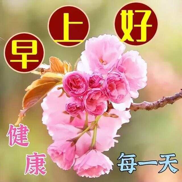 文章图片4