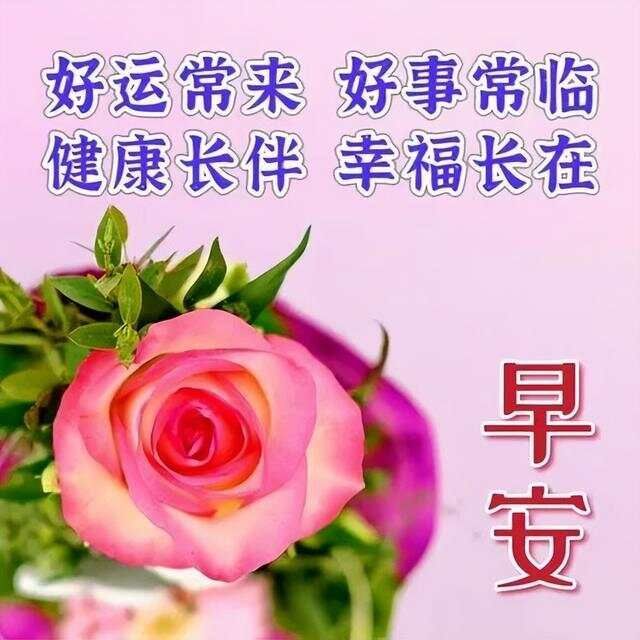 文章图片3
