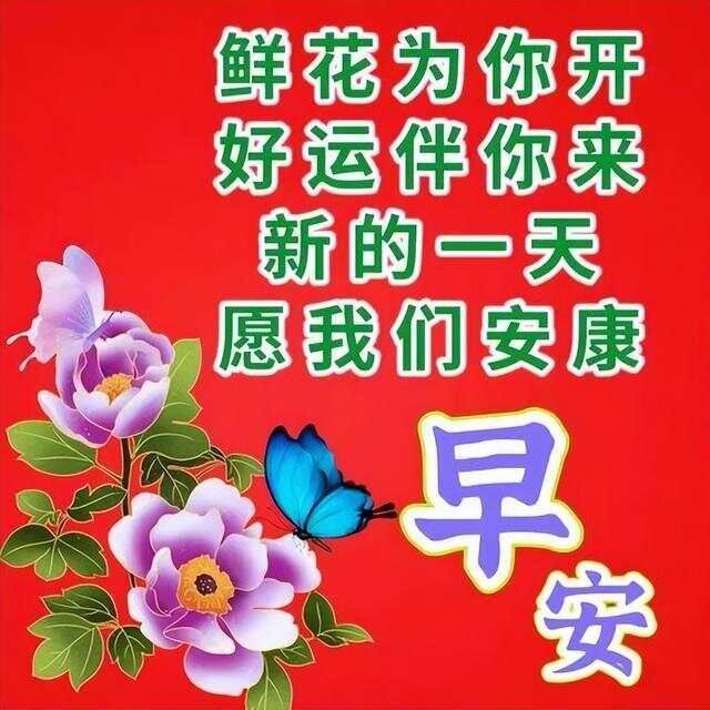 文章图片5